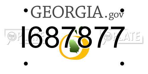 I687877 Georgia License Plate
