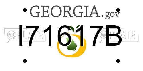 I71617B Georgia License Plate