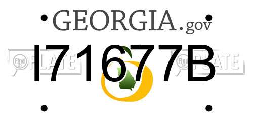 I71677B Georgia License Plate
