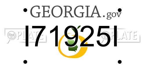 I71925I Georgia License Plate
