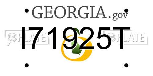 I71925T Georgia License Plate