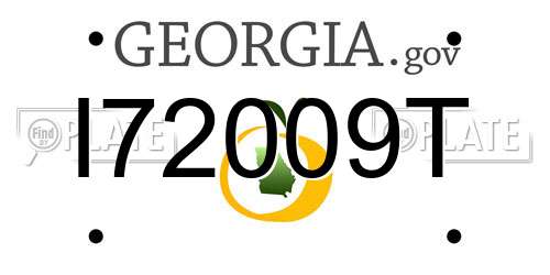 I72009T Georgia License Plate