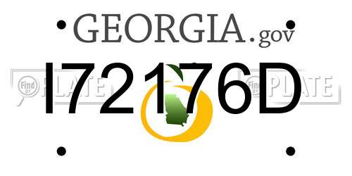 I72176D Georgia License Plate