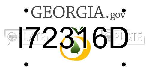 I72316D Georgia License Plate