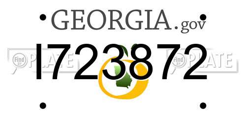 I723872 Georgia License Plate