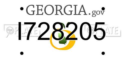 I728205 Georgia License Plate