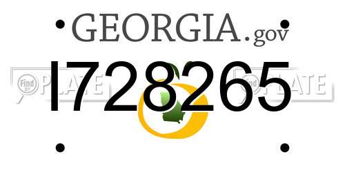 I728265 Georgia License Plate