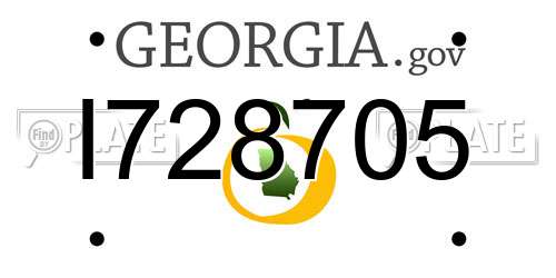 I728705 Georgia License Plate