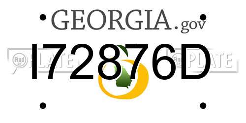 I72876D Georgia License Plate