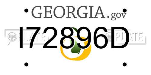 I72896D Georgia License Plate
