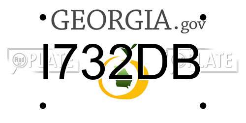 I732DB Georgia License Plate