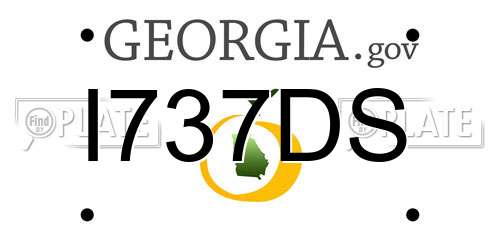 I737DS Georgia License Plate