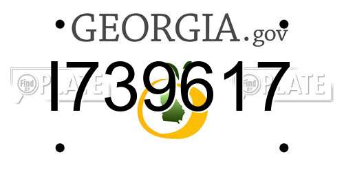 I739617 Georgia License Plate