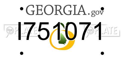 I751071 Georgia License Plate