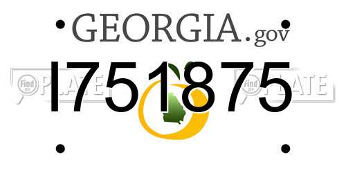 I751875 Georgia License Plate