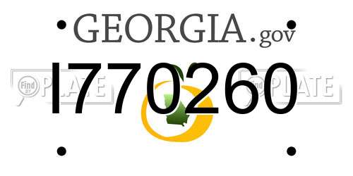 I770260 Georgia License Plate