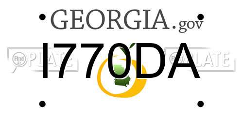 I770DA Georgia License Plate
