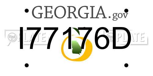 I77176D Georgia License Plate