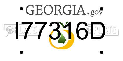 I77316D Georgia License Plate