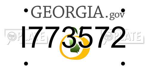 I773572 Georgia License Plate
