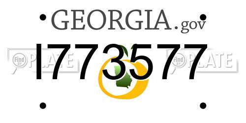 I773577 Georgia License Plate
