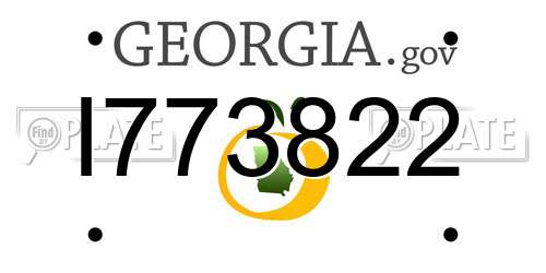 I773822 Georgia License Plate