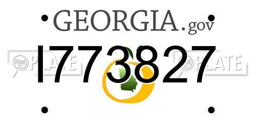 I773827 Georgia License Plate