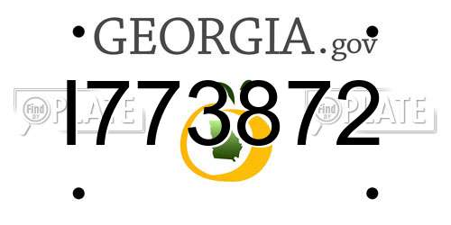 I773872 Georgia License Plate
