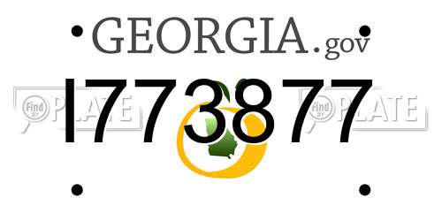 I773877 Georgia License Plate