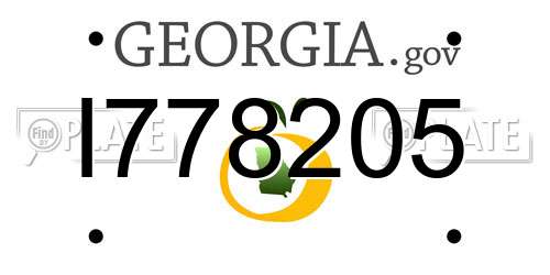 I778205 Georgia License Plate