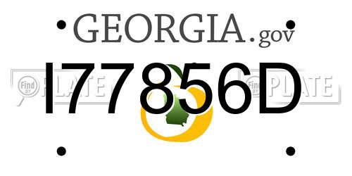 I77856D Georgia License Plate