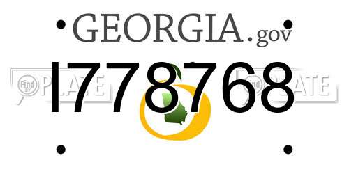 I778768 Georgia License Plate
