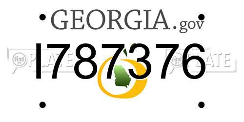 I787376 Georgia License Plate