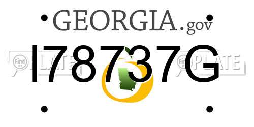 I78737G Georgia License Plate