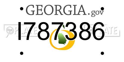 I787386 Georgia License Plate