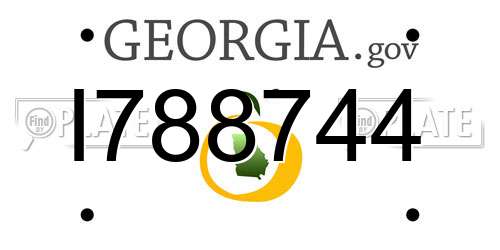 I788744 Georgia License Plate