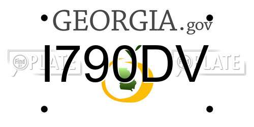 I790DV Georgia License Plate