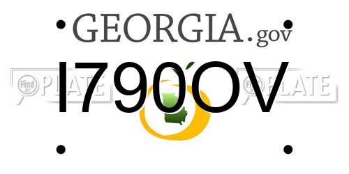 I790OV Georgia License Plate