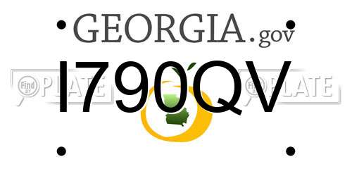I790QV Georgia License Plate
