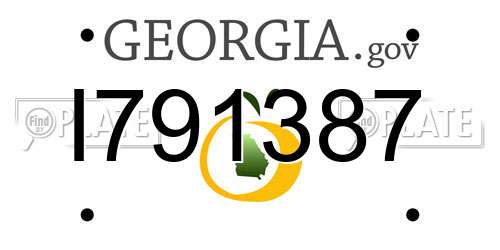 I791387 Georgia License Plate