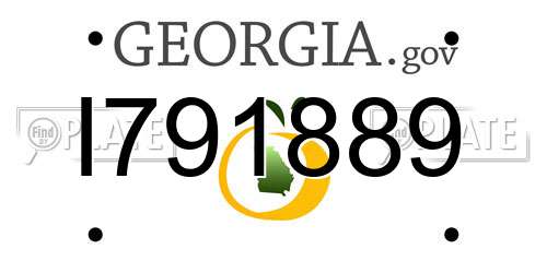 I791889 Georgia License Plate