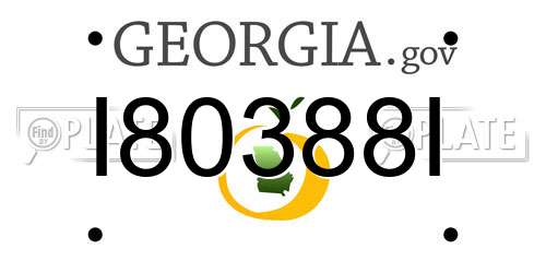 I80388I Georgia License Plate