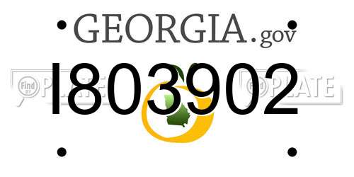 I803902 Georgia License Plate