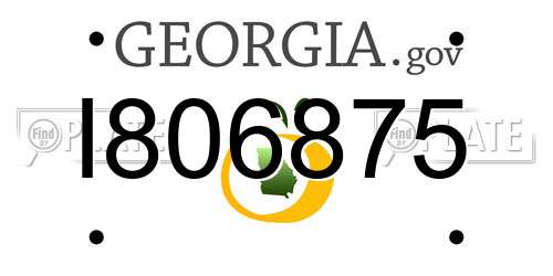 I806875 Georgia License Plate