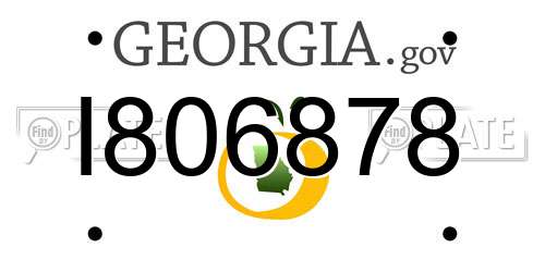 I806878 Georgia License Plate