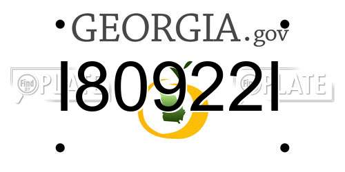 I80922I Georgia License Plate