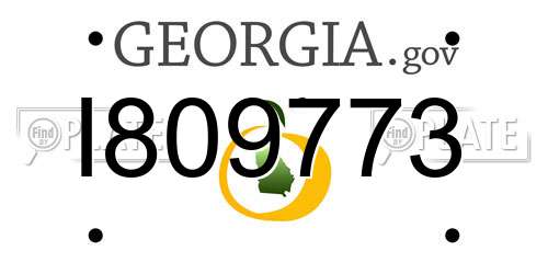 I809773 Georgia License Plate