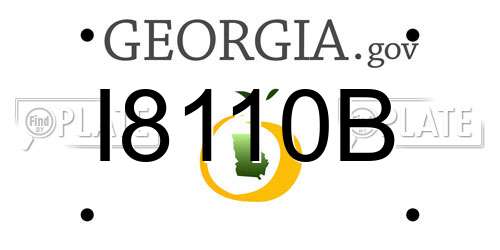 I8110B Georgia License Plate