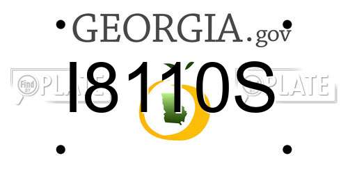 I8110S Georgia License Plate