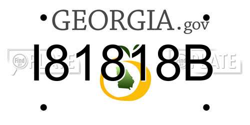 I81818B Georgia License Plate